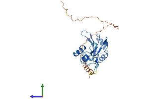 AlphaFold protein structure predicition of Human Recombinant SNRNP35 Protein, UniprotID Q16560