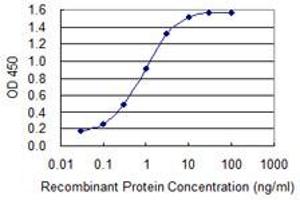 Detection limit for recombinant GST tagged LETM1 is 0. (LETM1 Antikörper  (AA 601-708))