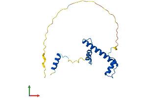 Protein Structure (PS) image for TAF12 RNA Polymerase II, TATA Box Binding Protein (TBP)-Associated Factor, 20kDa (TAF12) (AA 1-161) protein (His tag) (ABIN7544138)
