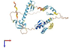 ZNF346 Protein (AA 1-294) (His tag)