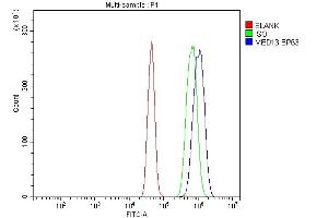 anti-Mediator Complex Subunit 13 (MED13) (AA 61-240) antibody