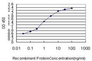 Detection limit for recombinant GST tagged SLIT3 is approximately 0. (SLIT3 Antikörper  (AA 1371-1470))