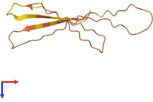 C4orf6 Protein (AA 1-93) (His tag)