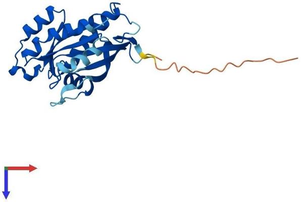 RAB39B Protein (AA 1-213) (His tag)
