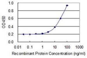 Detection limit for recombinant GST tagged C5AR1 is 1 ng/ml as a capture antibody. (C5AR1 Antikörper  (AA 1-350))