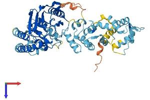 AlphaFold protein structure predicition of Mouse Recombinant Lpcat2b Protein, UniprotID Q9D5U0 (LPCAT2B Protein (AA 1-516) (His tag))
