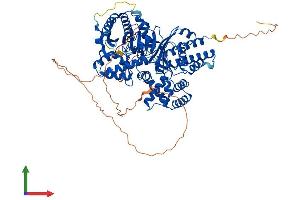 Protein Structure (PS) image for Choline O-Acetyltransferase (CHAT) (AA 1-748) protein (His tag) (ABIN7546528)