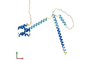 Protein Structure (PS) image for Coiled-Coil Domain Containing 43 (CCDC43) (AA 1-224) protein (His tag) (ABIN7553253)