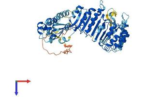 PRAME Protein (AA 1-509) (His tag)