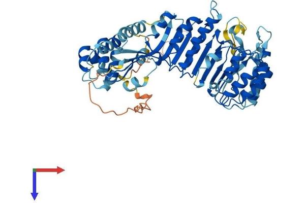 PRAME Protein (AA 1-509) (His tag)