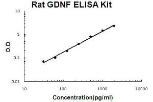 Rat GDNF Accusignal ELISA Kit Rat GDNF AccuSignal ELISA Kit standard curve.