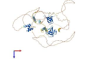 TDRD3 Protein (AA 1-651) (His tag)