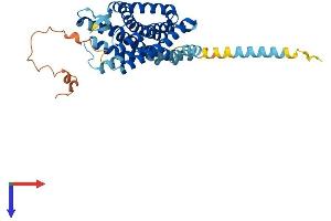 OPRL1 Protein (AA 1-370) (His tag)