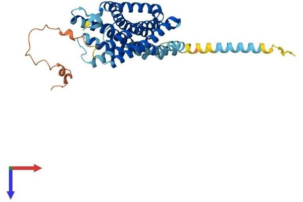OPRL1 Protein (AA 1-370) (His tag)