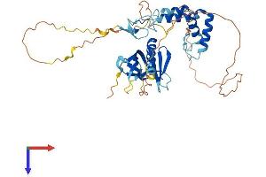 SPRED2 Protein (AA 1-410) (His tag)