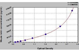 Typical Standard Curve