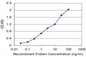 Detection limit for recombinant GST tagged FADD is approximately 0. (FADD Antikörper  (AA 109-208))