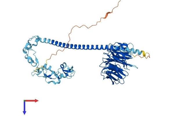 TRAF7 Protein (AA 1-594) (His tag)