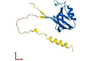 Protein Structure (PS) image for Synaptojanin 2 Binding Protein (SYNJ2BP) (AA 1-145) protein (His tag) (ABIN7544091)