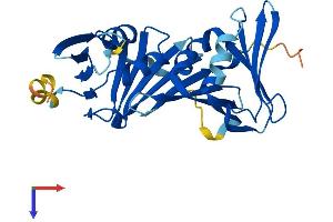 RAD1 Protein (AA 1-282) (His tag)