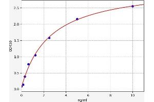 SLC25A20 ELISA Kit