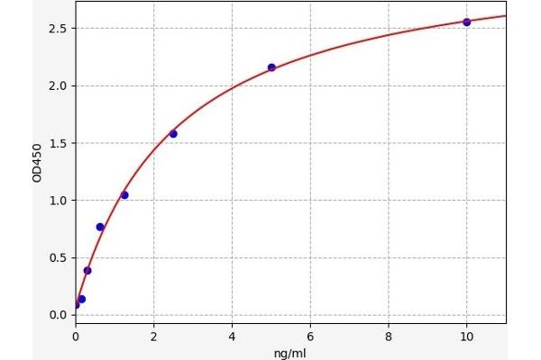 SLC25A20 ELISA Kit