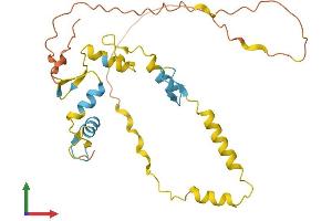 Protein Structure (PS) image for SNAIL (SNAI1) (AA 1-264) protein (His tag) (ABIN7546135)