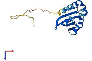 SCP2D1 Protein (AA 1-156) (His tag)