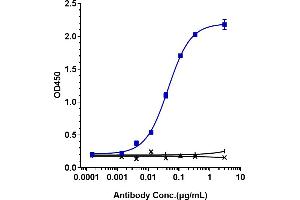 Immobilized human IFNa1, Fc Tag at 2 μg/mL can bind Anti-IFNa1 Reference Antibody (sifalimumab), EC50=0.