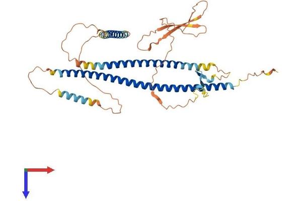 SPERT Protein (AA 1-446) (His tag)