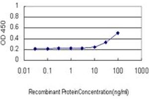 Detection limit for recombinant GST tagged TLR9 is approximately 10ng/ml as a capture antibody. (TLR9 Antikörper  (AA 99-215))