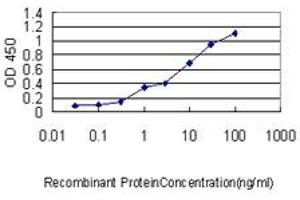 Detection limit for recombinant GST tagged GCG is approximately 0. (Glucagon Antikörper  (AA 1-180))
