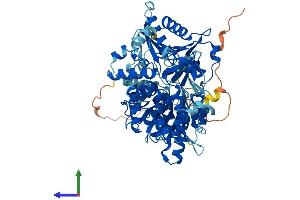 AlphaFold protein structure predicition of Mouse Recombinant Dhx33 Protein, UniprotID Q80VY9