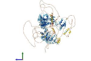 AlphaFold protein structure predicition of Mouse Recombinant Topbp1 Protein, UniprotID Q6ZQF0