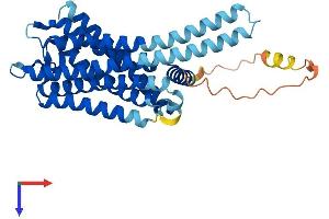 GPR78 Protein (AA 1-363) (His tag)