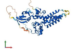 Protein Structure (PS) image for Fatty Acid 2-Hydroxylase (FA2H) (AA 1-372) protein (His tag) (ABIN7557475)