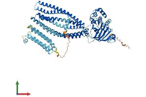 Protein Structure (PS) image for ATP-Binding Cassette, Sub-Family B (MDR/TAP), Member 9 (ABCB9) (AA 1-762) protein (His tag) (ABIN7565097)
