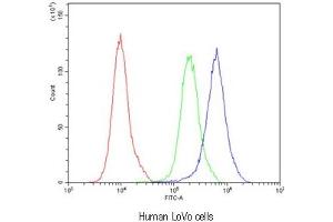 Flow cytometry testing of human LoVo cells with Bestrophin 1 antibody at 1ug/10^6 cells (blocked with goat sera) (Bestrophin 1 Antikörper)