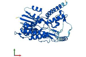 Protein Structure (PS) image for Hydroxy-delta-5-Steroid Dehydrogenase, 3 beta- and Steroid delta-Isomerase 2 (HSD3B2) (AA 1-372) protein (His tag) (ABIN7551835)