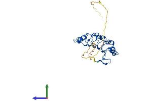 Protein Structure (PS) image for Acidic (Leucine-Rich) Nuclear phosphoprotein 32 Family, Member A (ANP32A) (AA 1-247) protein (His tag) (ABIN7562309)
