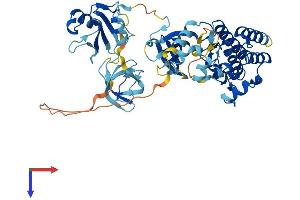 SRMS Protein (AA 1-496) (His tag)