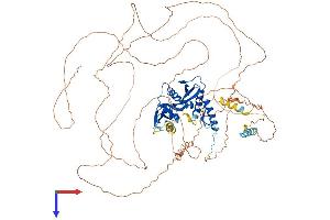 ESCO1 Protein (AA 1-840) (His tag)