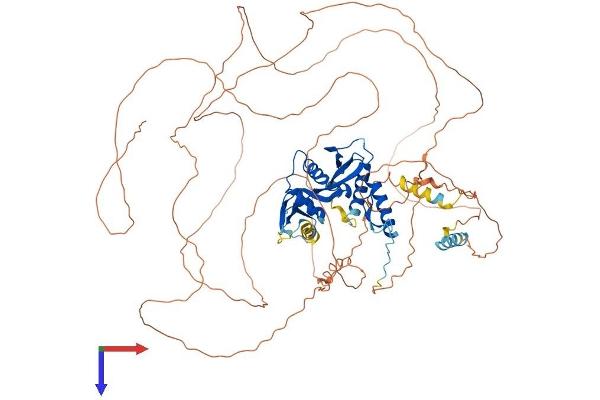 ESCO1 Protein (AA 1-840) (His tag)