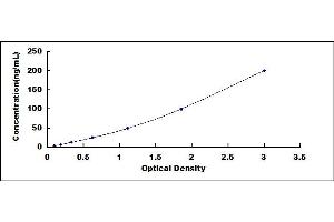 Vitamin D-Binding Protein ELISA Kit