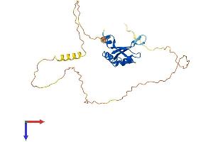 RBM7 Protein (AA 1-265) (His tag)