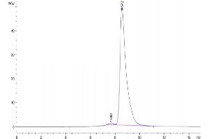 Size-exclusion chromatography-High Pressure Liquid Chromatography (SEC-HPLC) image for HLA Class I Histocompatibility Antigen, alpha Chain G (HLAG) (AA 25-305), (Monomer) protein (His-Avi Tag,Peptide (RIIPRHLQL)) (ABIN7274820)