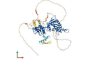 AlphaFold protein structure predicition of Human Recombinant TIPARP Protein, UniprotID Q7Z3E1