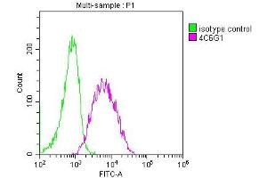 Overlay histogram showing Raji cells stained with ABIN7147134 (red line) at 1:50. (CD19 Antikörper  (AA 20-291))