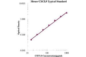 ELISA image for gamma-Interferon-Induced Monokine (CXCL9) ELISA Kit (ABIN3198420)