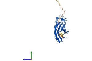 Protein Structure (PS) image for ASF1 Anti-Silencing Function 1 Homolog A (S. Cerevisiae) (ASF1A) (AA 1-204) protein (His tag) (ABIN7552417)